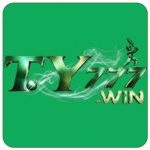 ty 777 game
