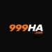 9999ha game